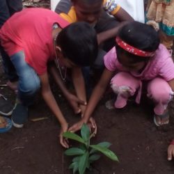 AMAR # 578  Cleanliness and  plantation by the little ones at Koregaon Park